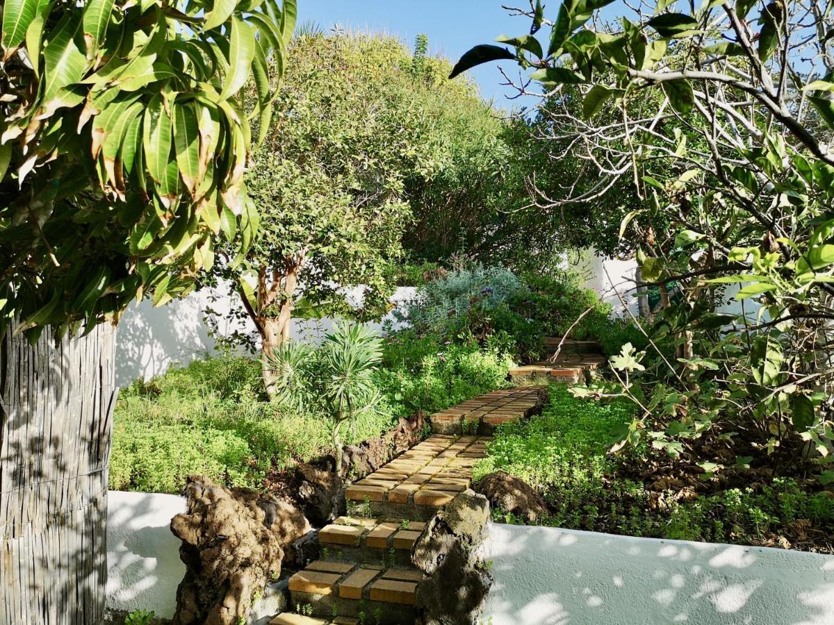 Villa Nanou House La Matanza De Acentejo Exterior foto